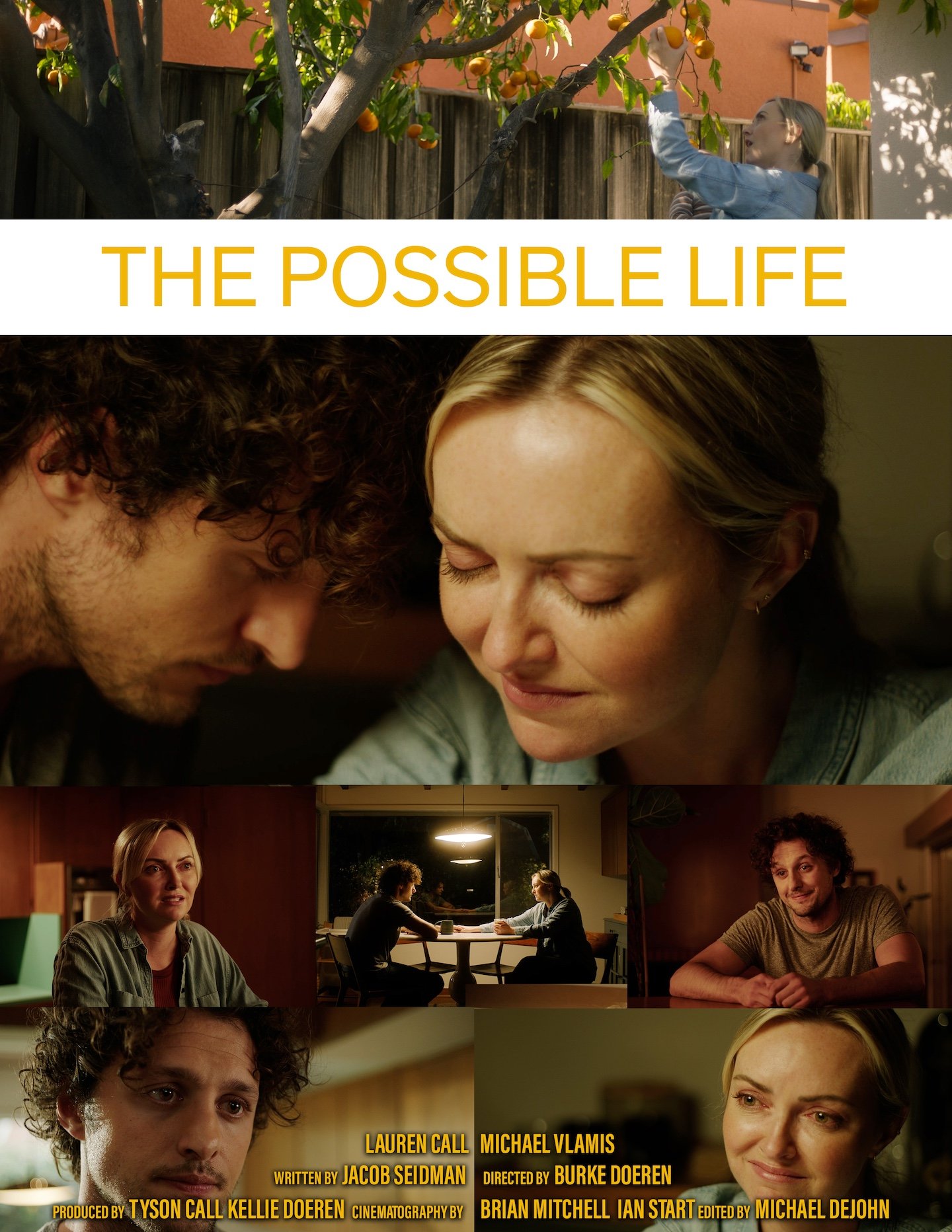 ThePossibeLife_FilmPoster.jpg