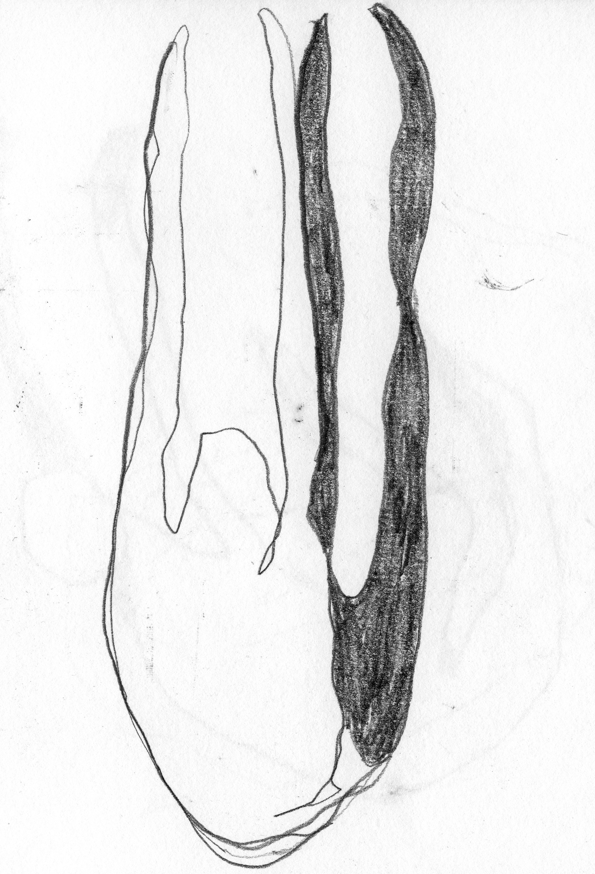 body2-2.jpg