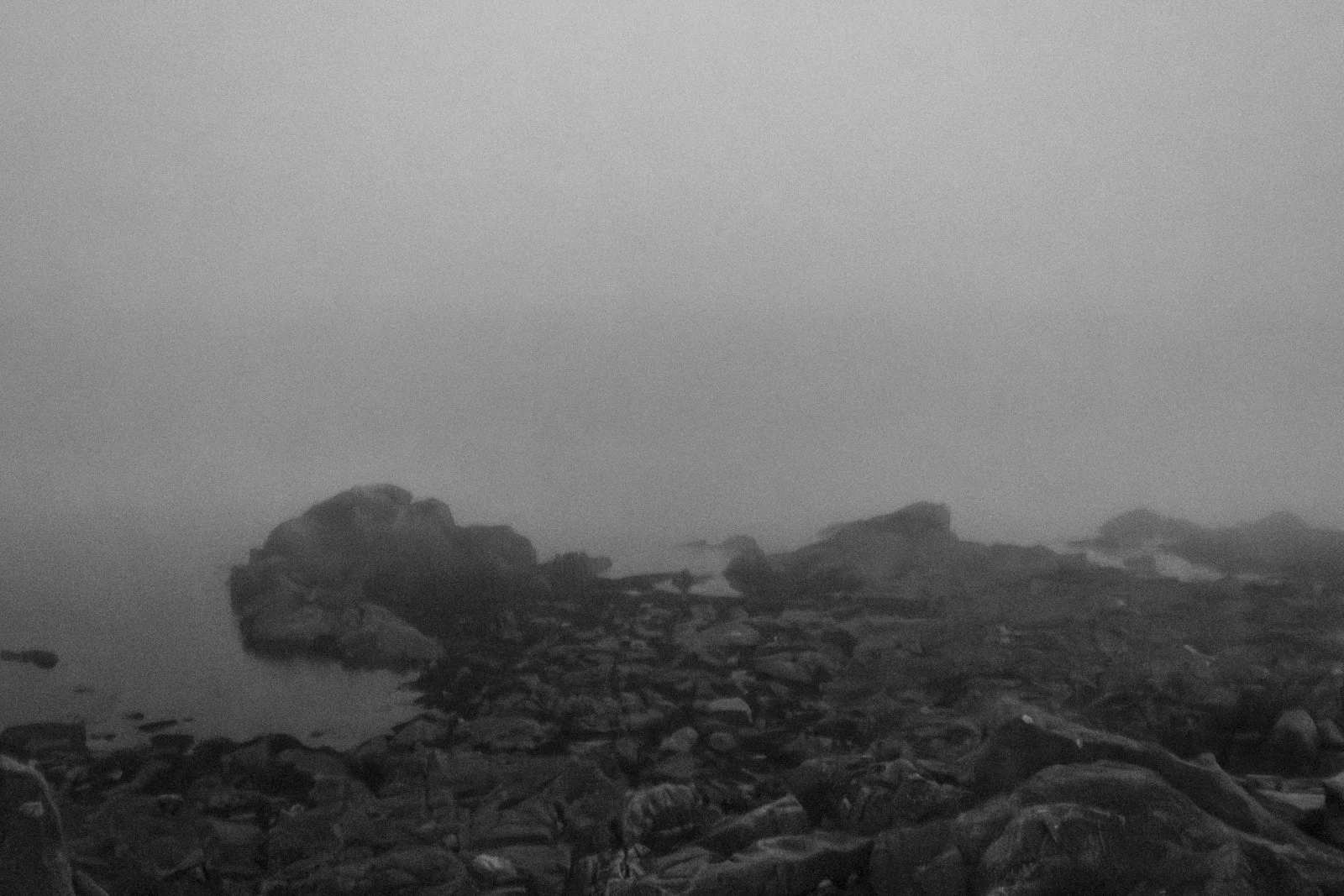 fog1.jpg