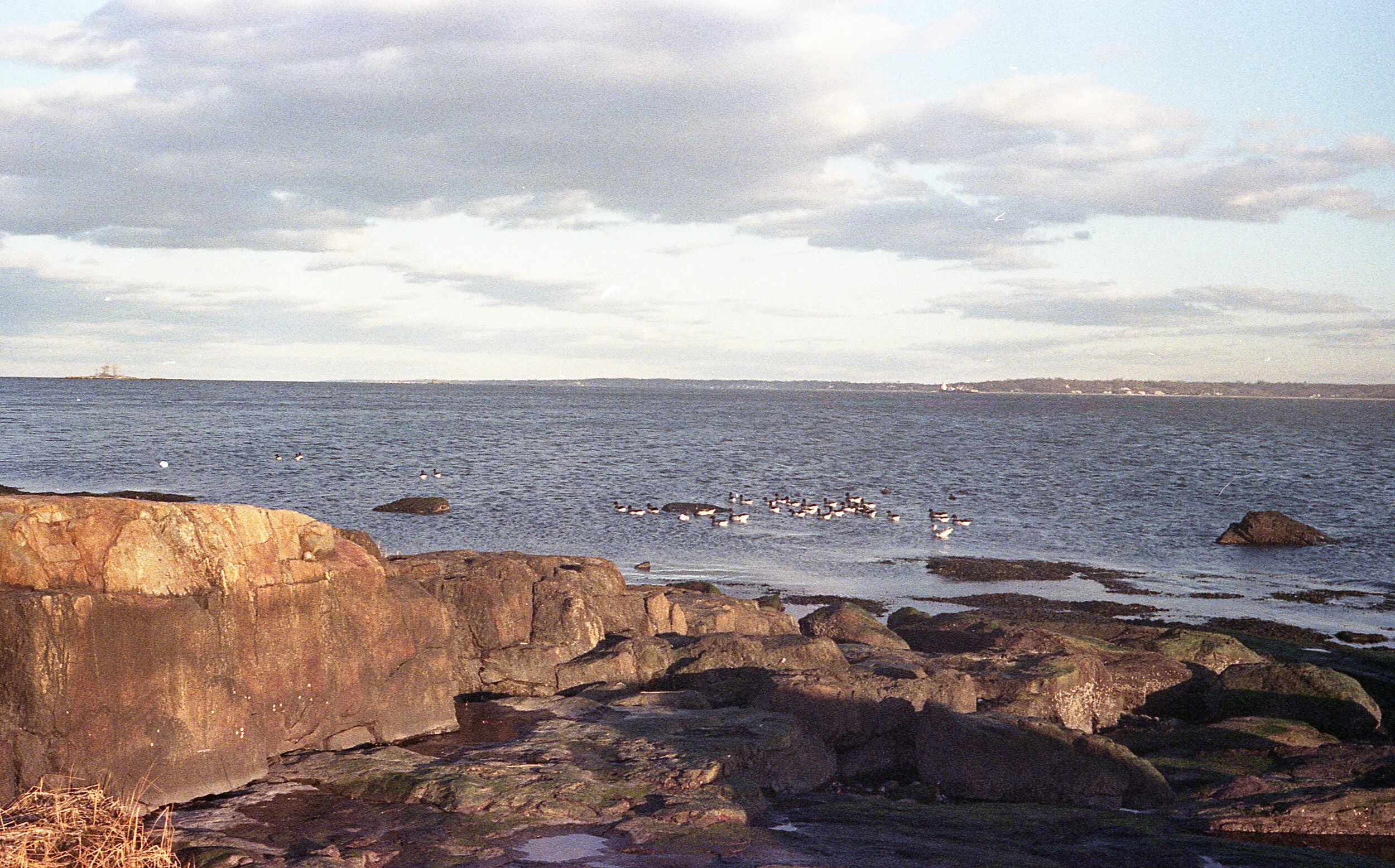 Orchard Beach — cassandra eddington