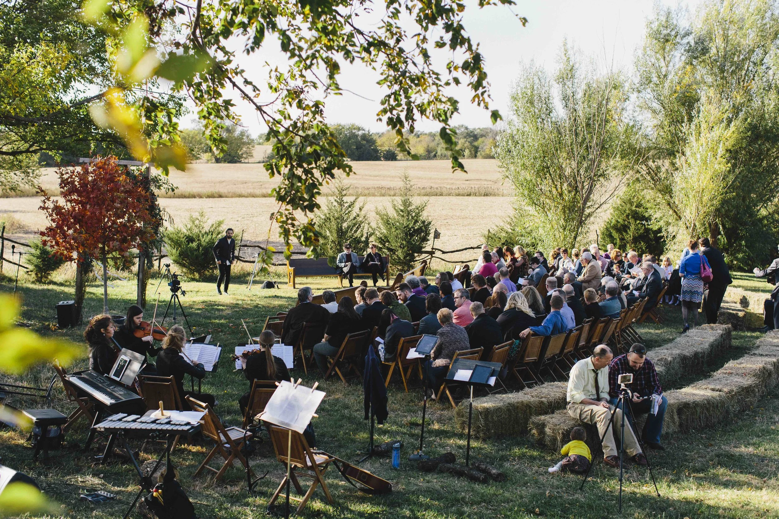 The_Wolf's (239 of 515).jpeg