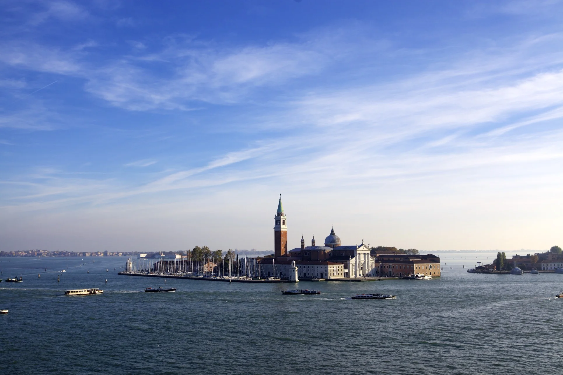 IMG_6484.jpg
