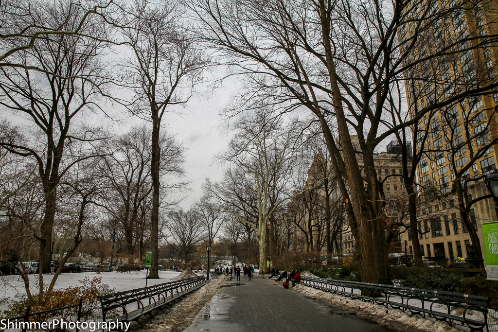 untitled Mar0915 - 0275-13.jpg