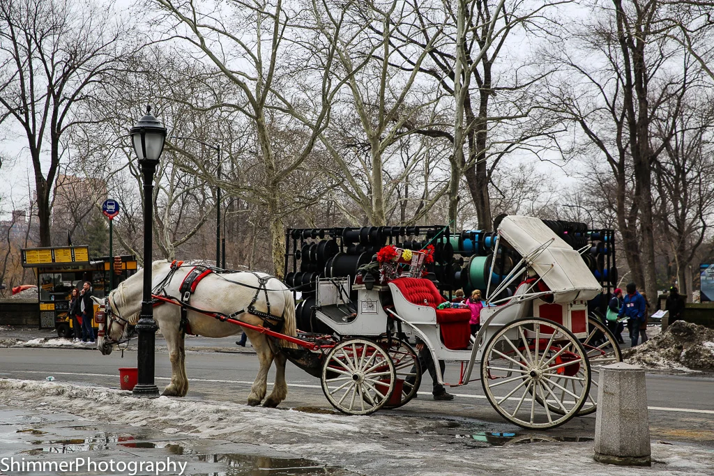 untitled Mar0915 - 0255-9.jpg