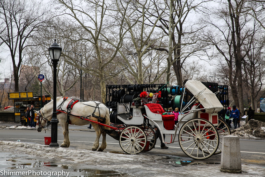 untitled Mar0915 - 0255-9.jpg