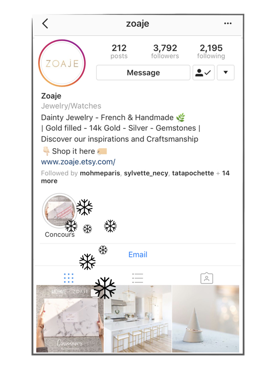 Instagram zoaje.001.jpeg