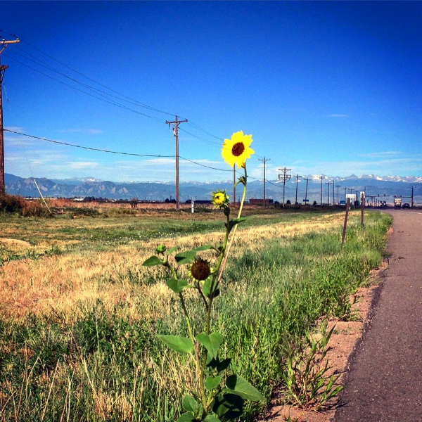 Outside Boulder, CO.