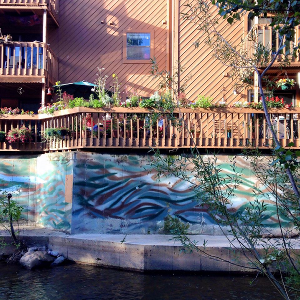 Someone's backyard in Boulder.