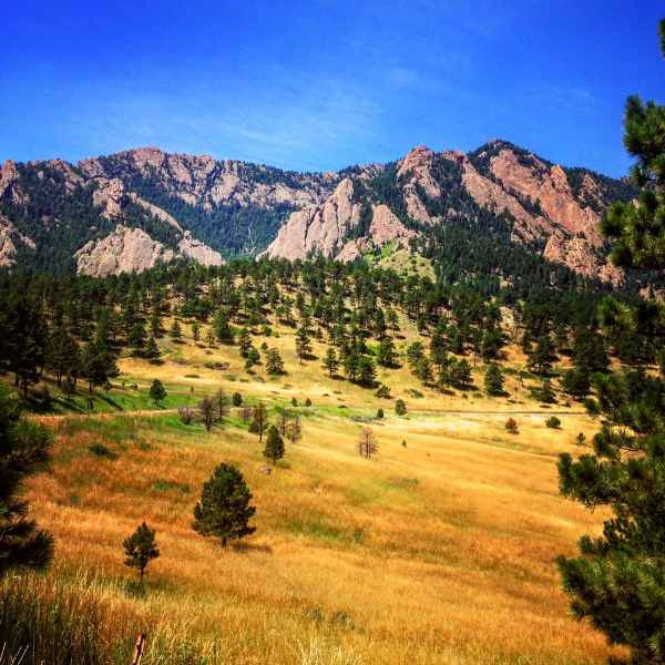 I mean . . . Is this Yellowstone?