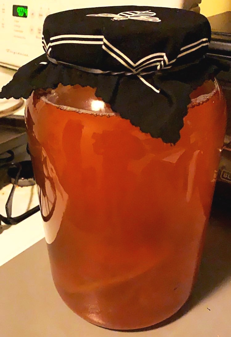 A Novice's Guide to Kombucha Brewing and Flavoring — As Told Over Brunch