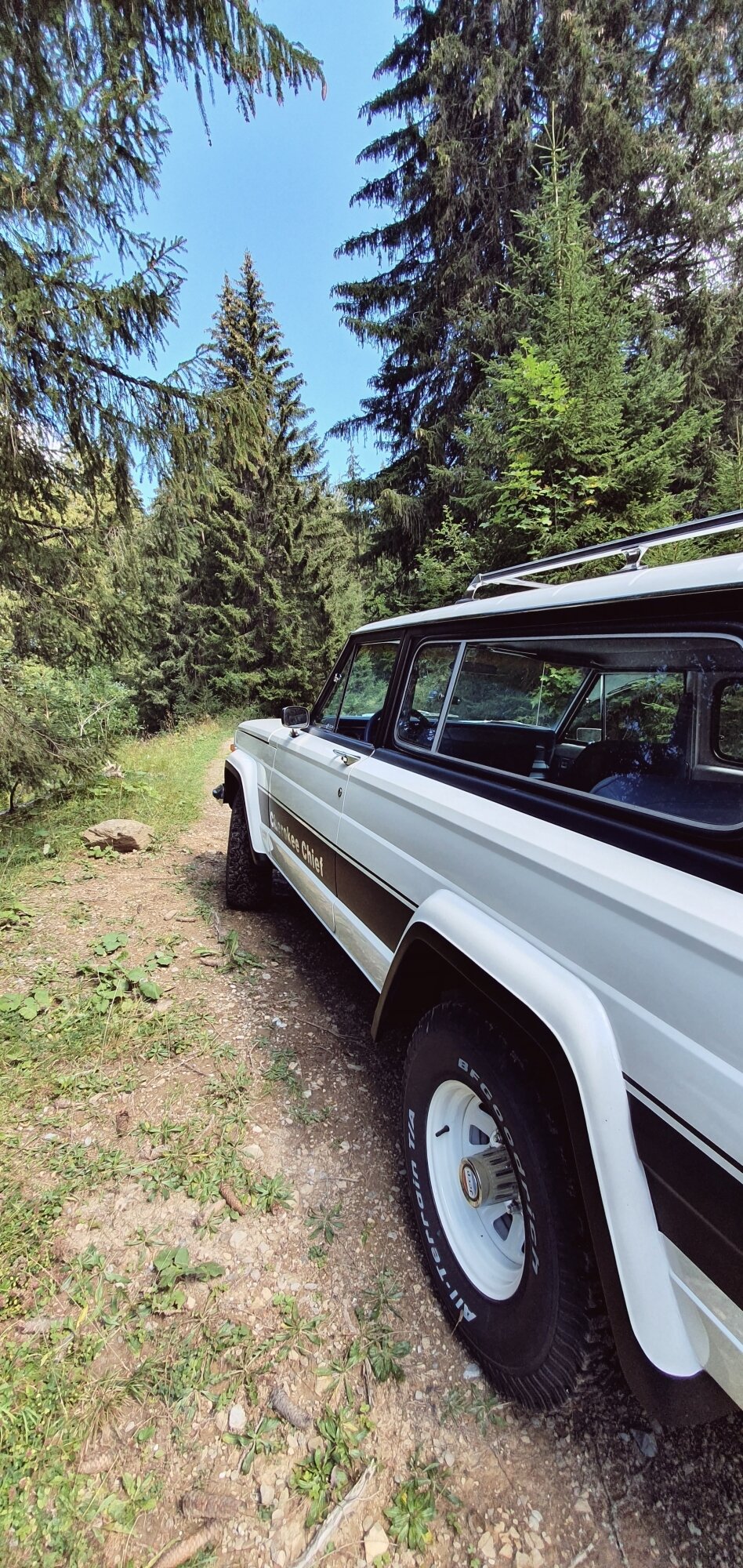 fotorjeep-cherokee-chief-1978-chatel-france-shooting-71.jpg