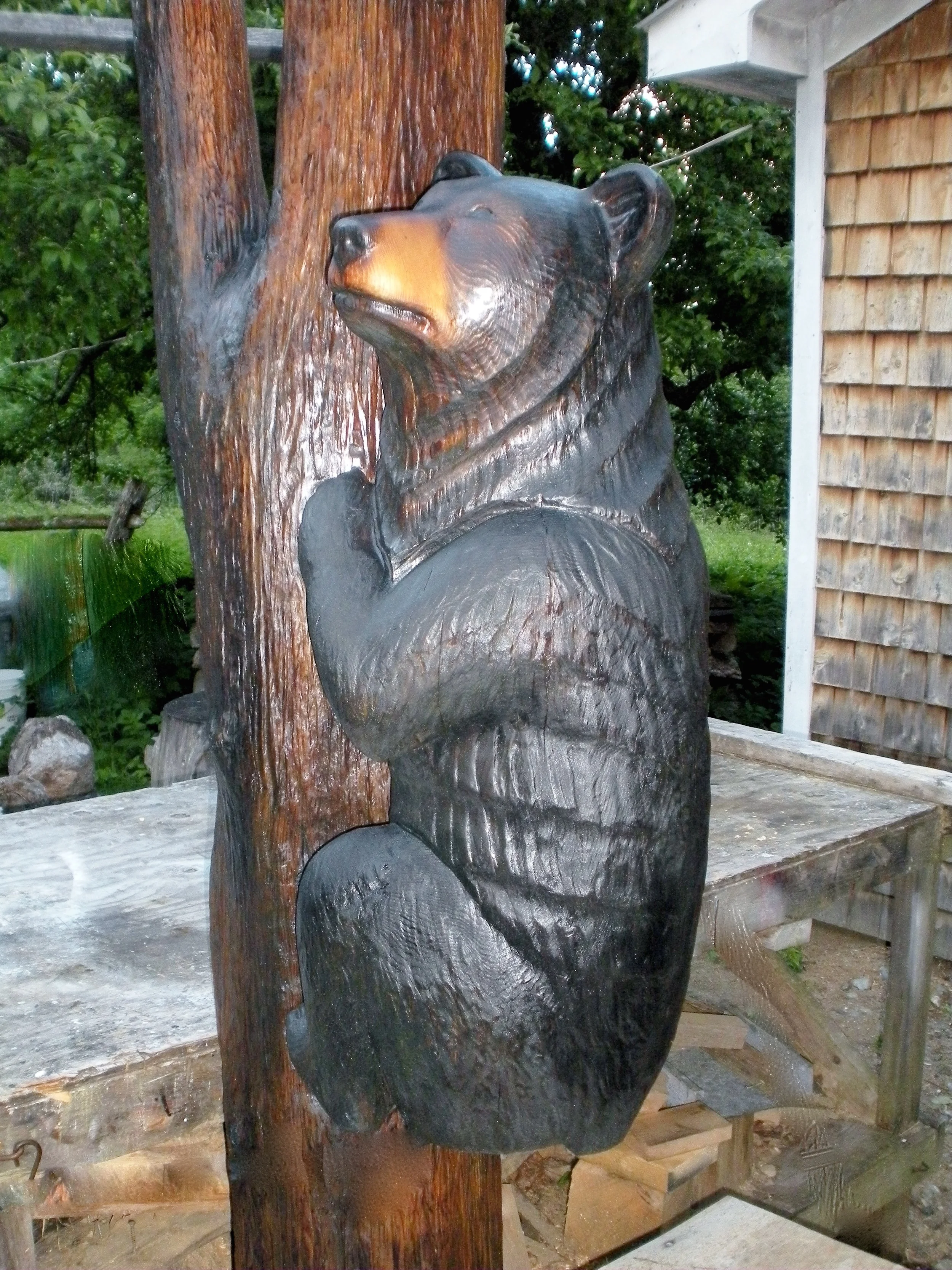 DSCN1639.jpg
