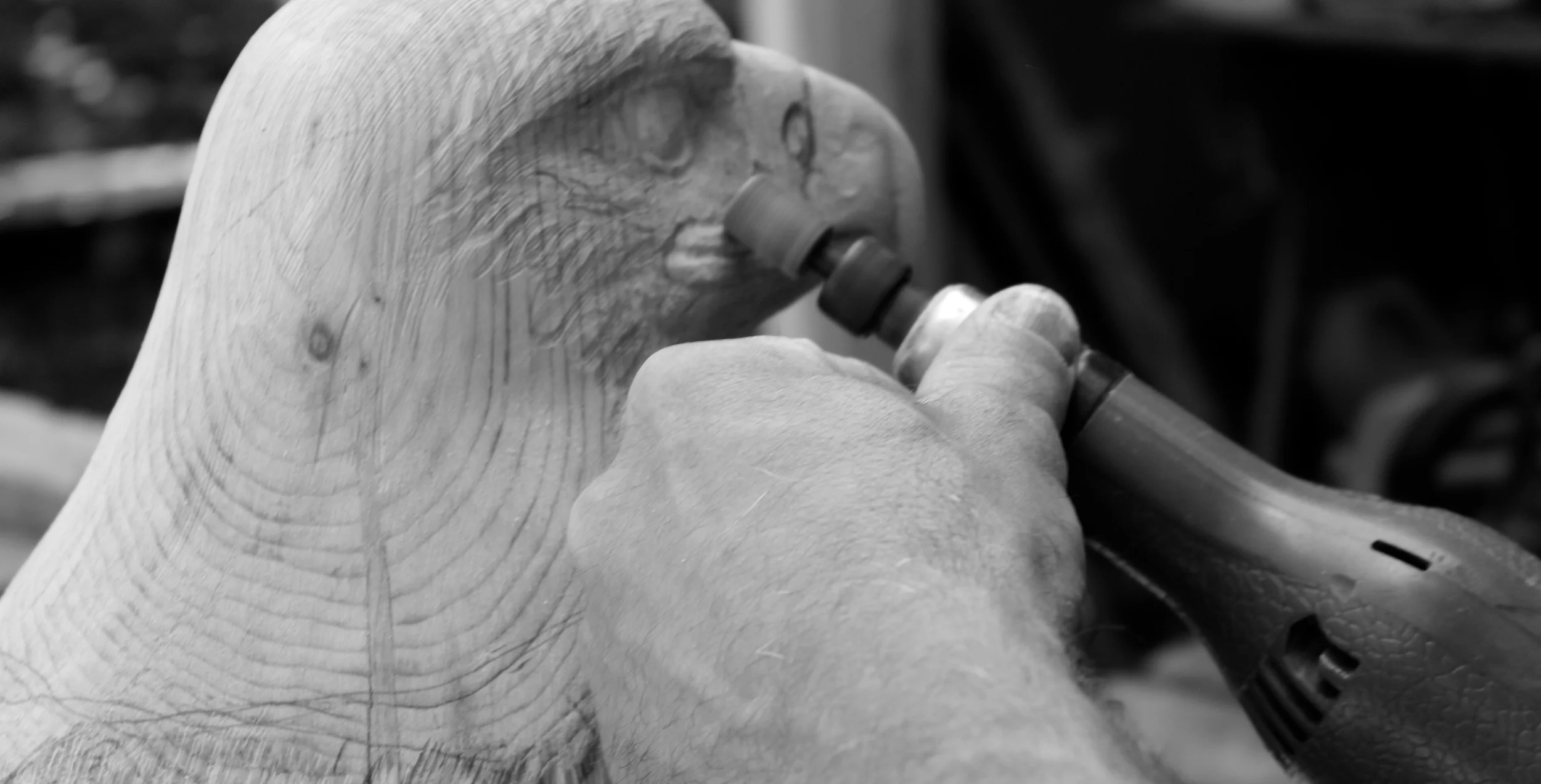 IMG_5376 - Version 2.JPG