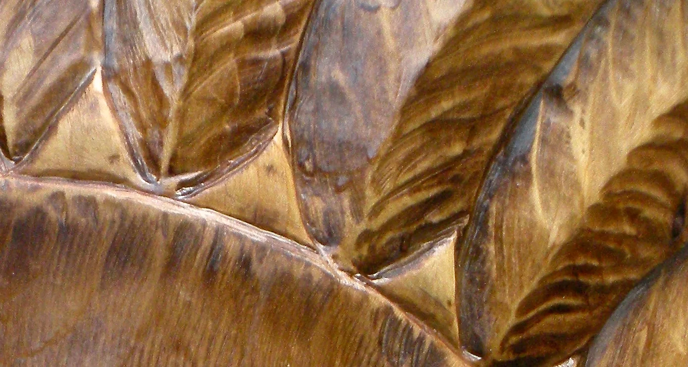 DSCN1190 - Version 2.JPG