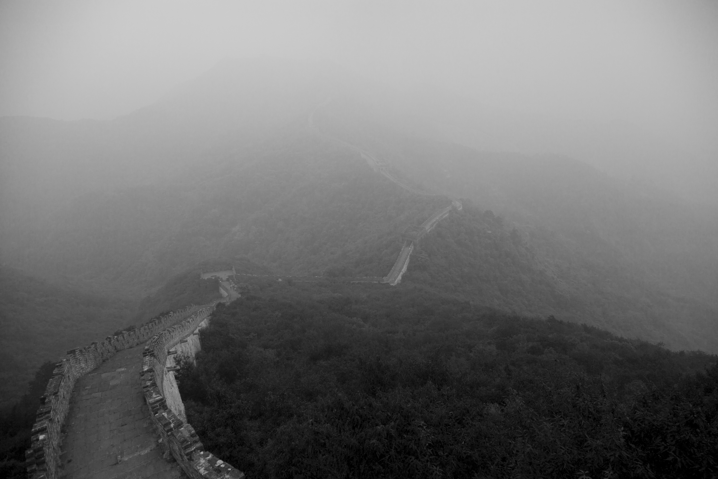 _MG_0867.jpg