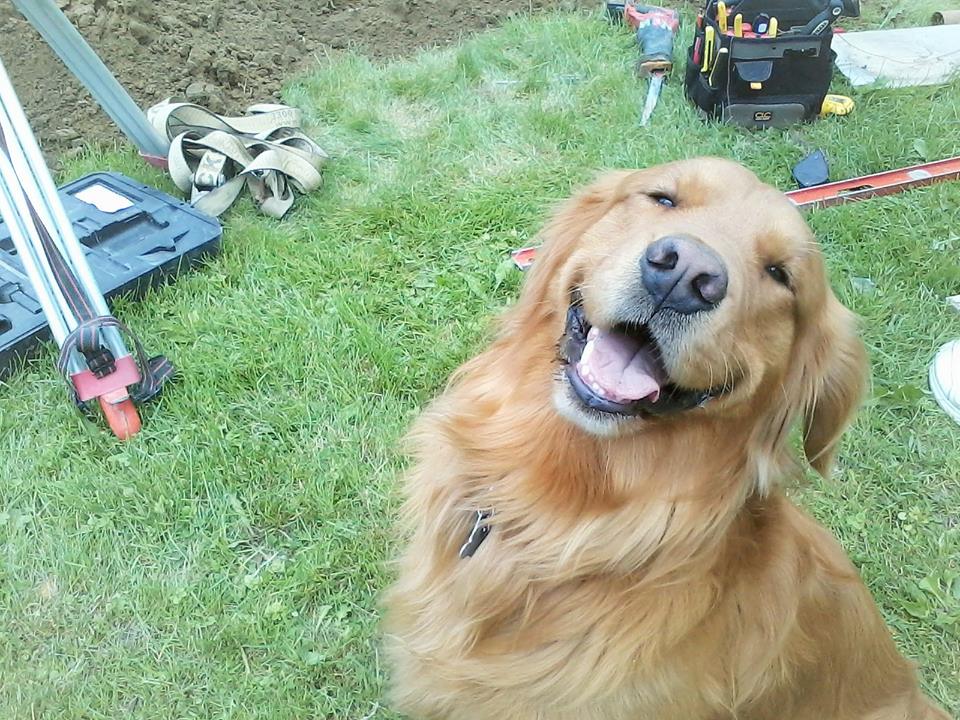 Every construction site needs a special helper! Photo by Paschal'Simon MacMurray