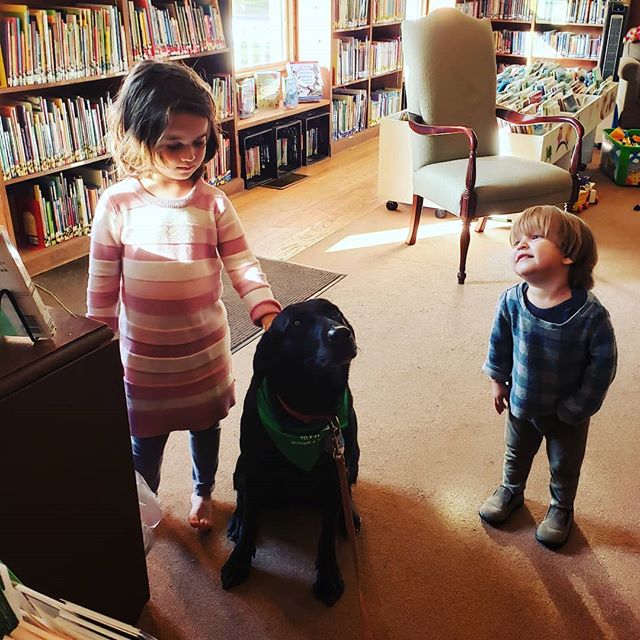 Did you miss Jazz last week? She'll be back on Tuesday, November 6 @ 3pm!

#varnummemoriallibrary #therapydogsofinstagram #therapydog #therapydogs #jazz #therapydogsofvermont #jeffersonvillevt #vermont #vermonting