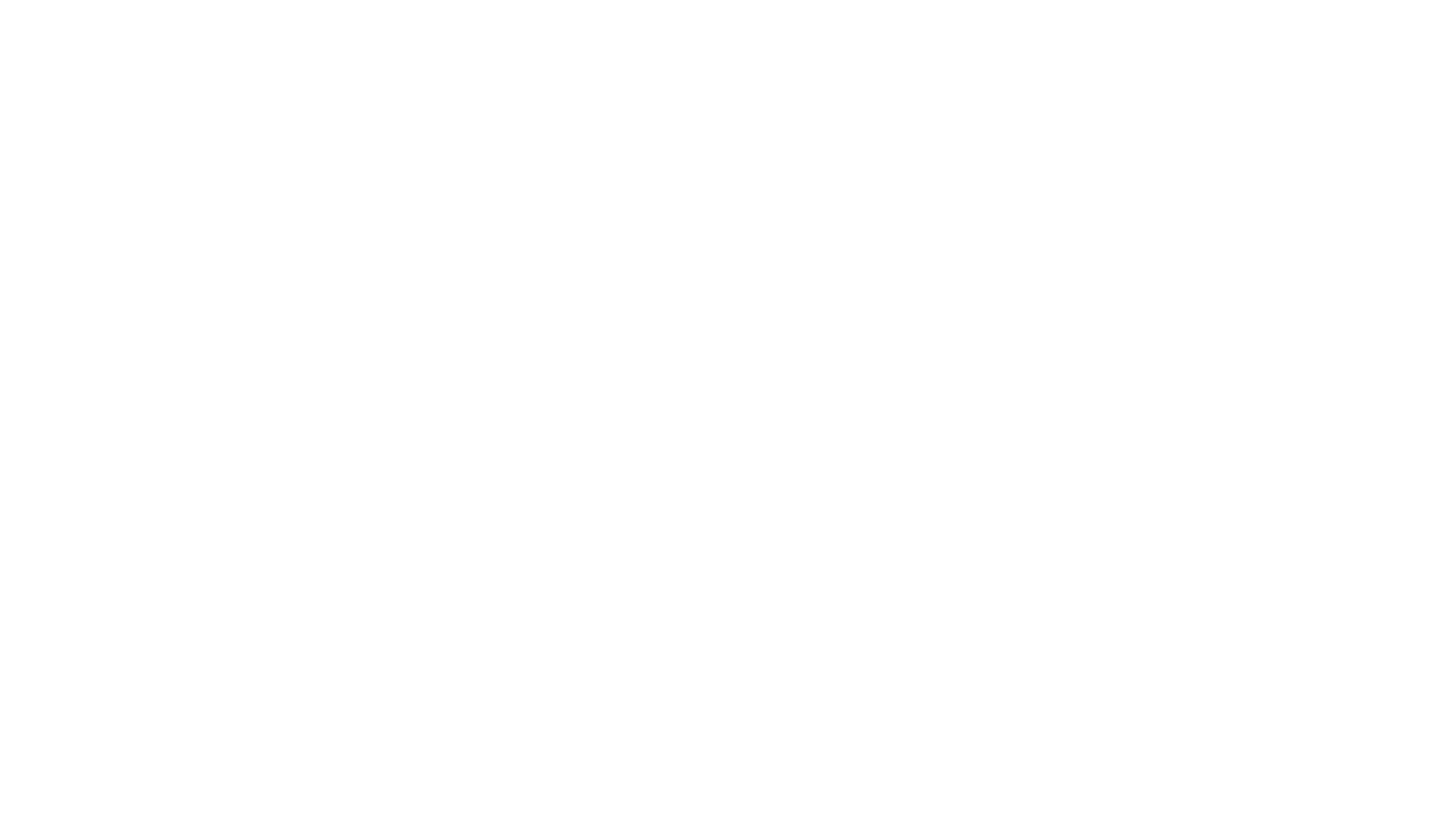 Erin Burazin