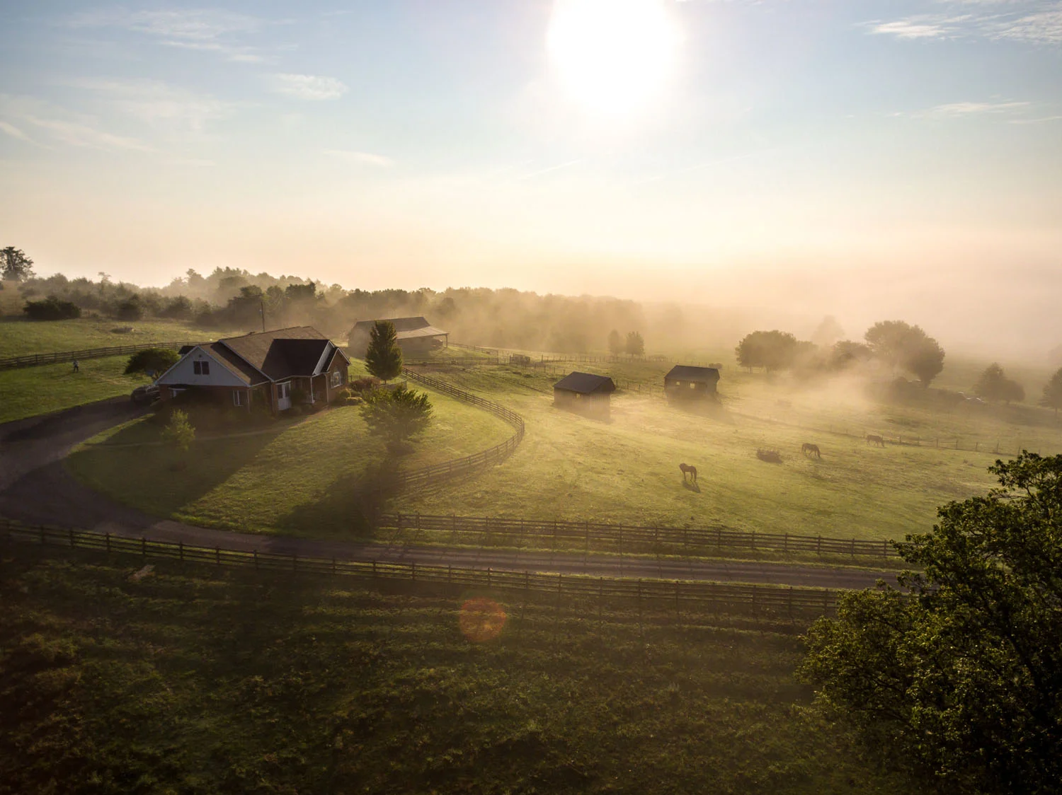 20170816-DJI_0957-HDR.jpg