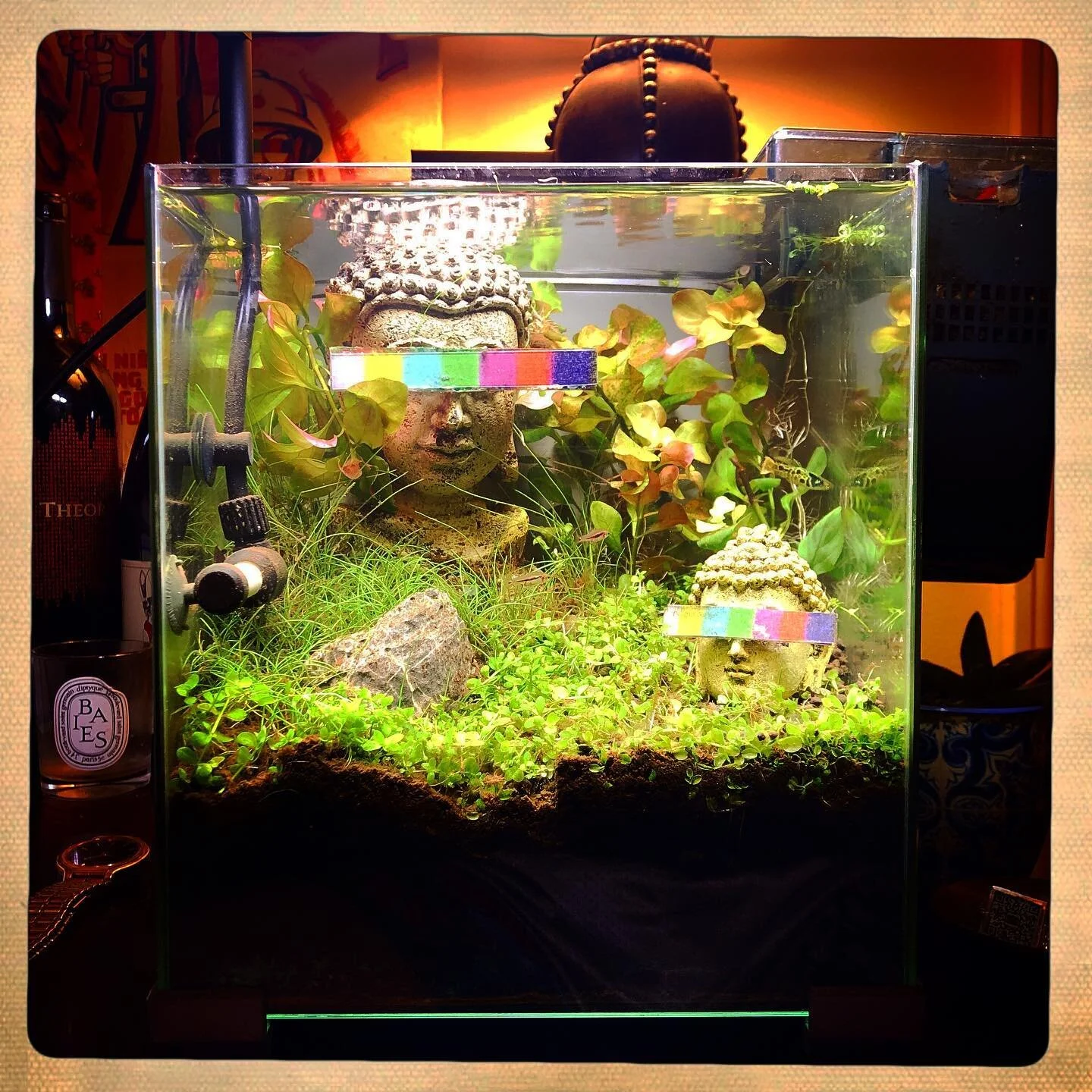 Seeing Double(2020) 

a piece that took all year, throughout quarantine, to create. a long trial &amp; error, with literal growth. shouts @eriickreyes for the continued guidance w/ this piece