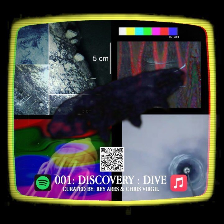 A deep dive by the @britishantarcticsurvey reveals new, alien-like life forms beneath the ice shelves of the Antarctic 

@reyares and @visuallyaudible dive deep into some sonic rhythms w/ the DISCOVERY:DIVE playlist. Playlist &amp; article link in bi