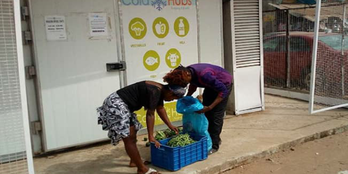 They're popular vegetables but most people who count green beans as one of their favorite vegetables probably don't know how nutritious they are!Like other vegetables, green beans are a good source of fiber, potassium, and folate, and are an excelle…