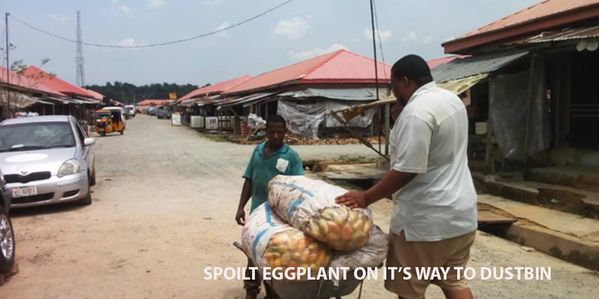 The Nigerian Garden Egg Plant is often considered a vegetable. According to our findings, a bag is sold for $27.57 and for each bag the retailers, makes just $1.97. With no storage system the green and the white garden egg plant spoils after 2 days. Though in most cases it spoils even before they get to the market. If a trader buys 15 bags of eggplant and sales are good, from our findings there will still be loses of 4 bags of eggplant thrown to the dustbin, and when there is no good sales they lose 7 bags out of the 15 bags. Hence even at good sales the percentage loss is 26.6%. It goes up to 46.6% when the market is bad that is almost half the purchase. Around the Market you see bags of eggplant thrown in the dustbin because of no storage system. ColdHubs is providing timely and reliable storage for garden egg plant farmers, retailers and wholesalers, reducing the number of garden egg plants that goes to the dustbin.