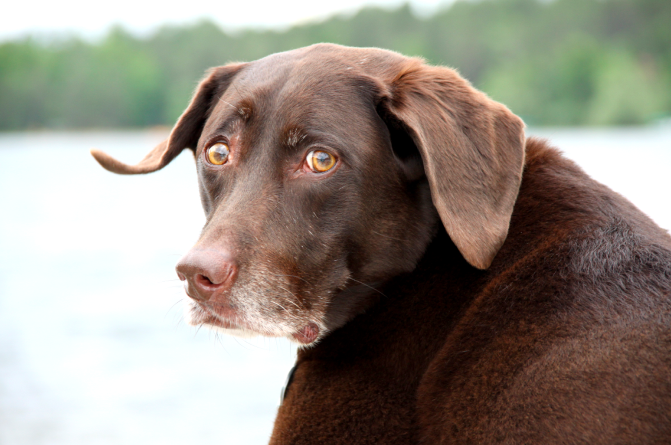 Screen shot 2012-08-08 at 9.03.40 AM (2).png