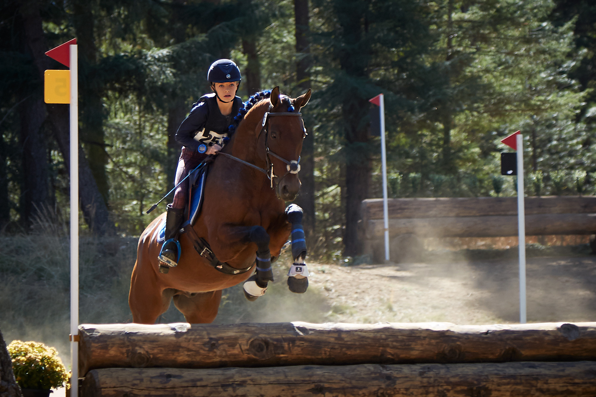 092417_horse-show_085b.jpg