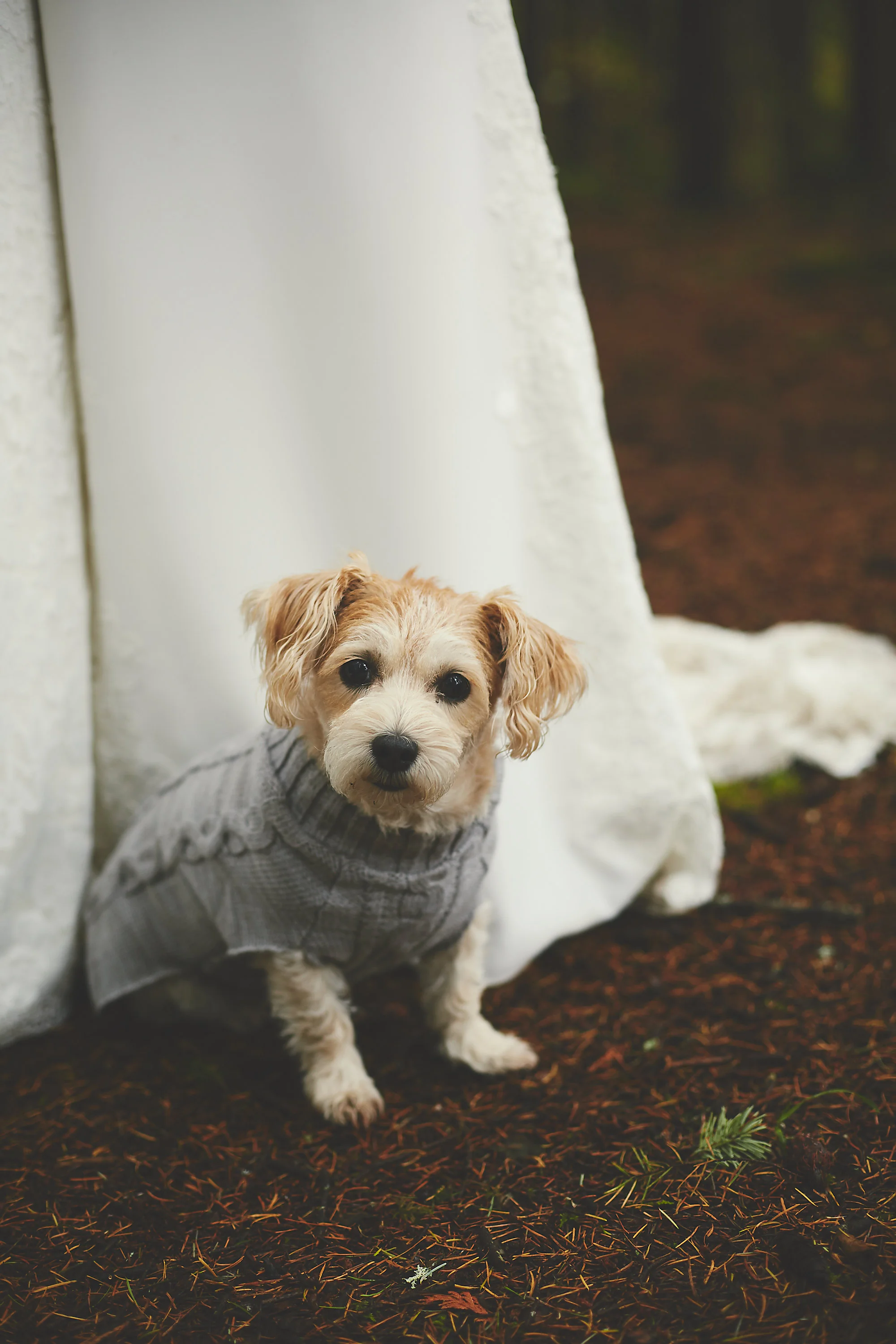 101616_jen-katy_wedding_1984.jpg