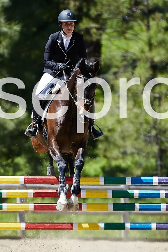 052718_horse-trials_1664.jpg
