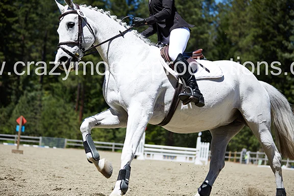 052718_horse-trials_1786.jpg