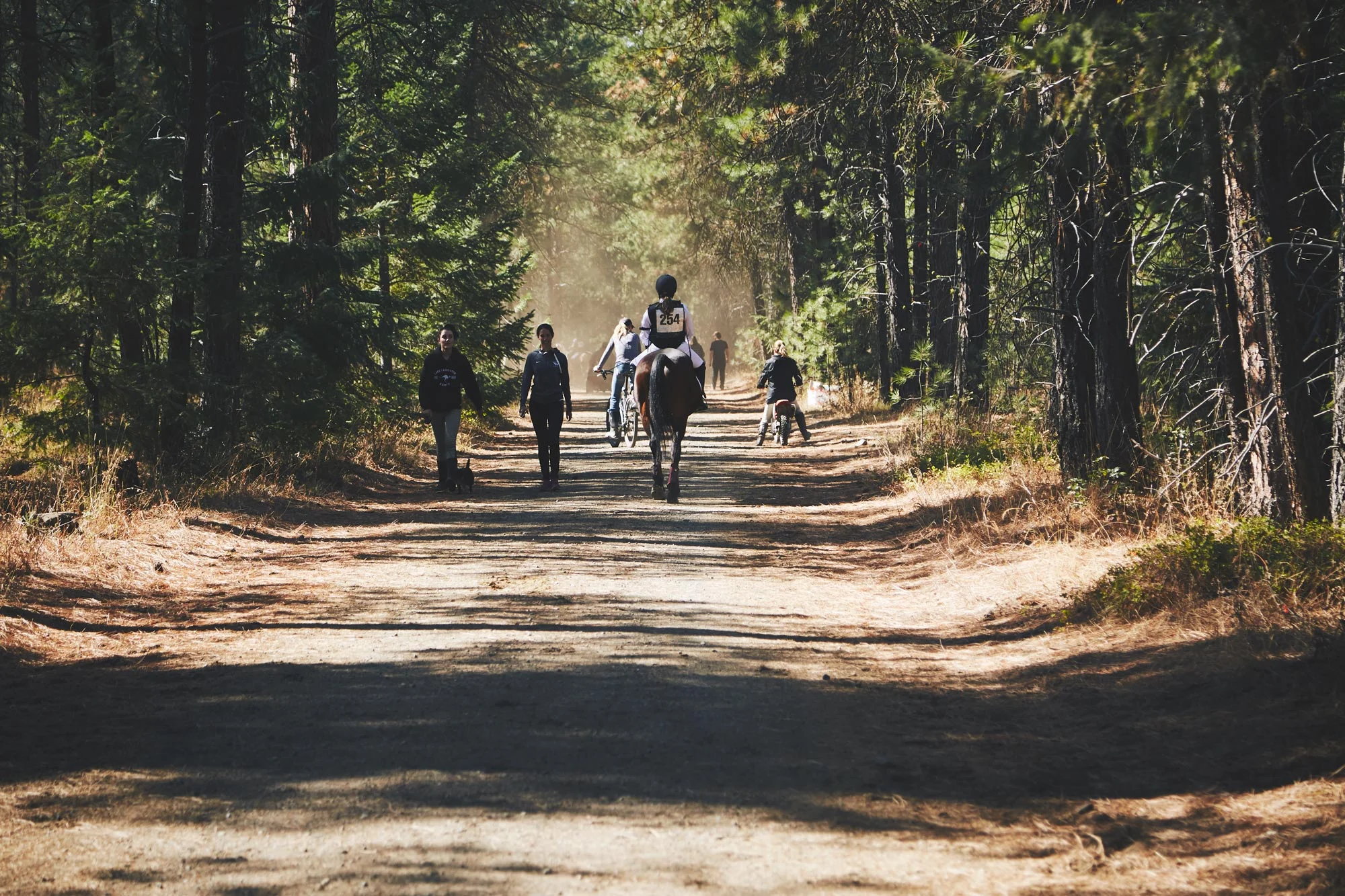092417_horse-show_069.jpg