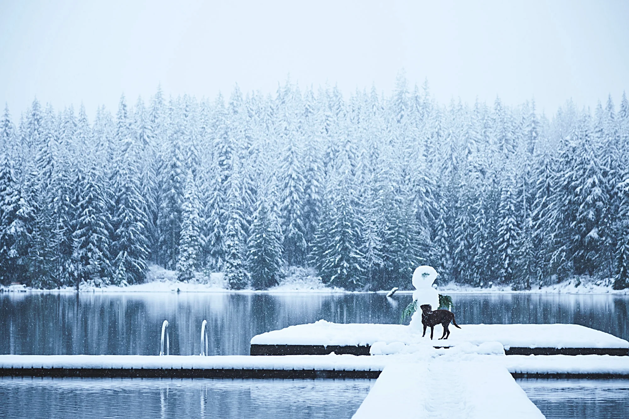 112616_whistler_184.jpg