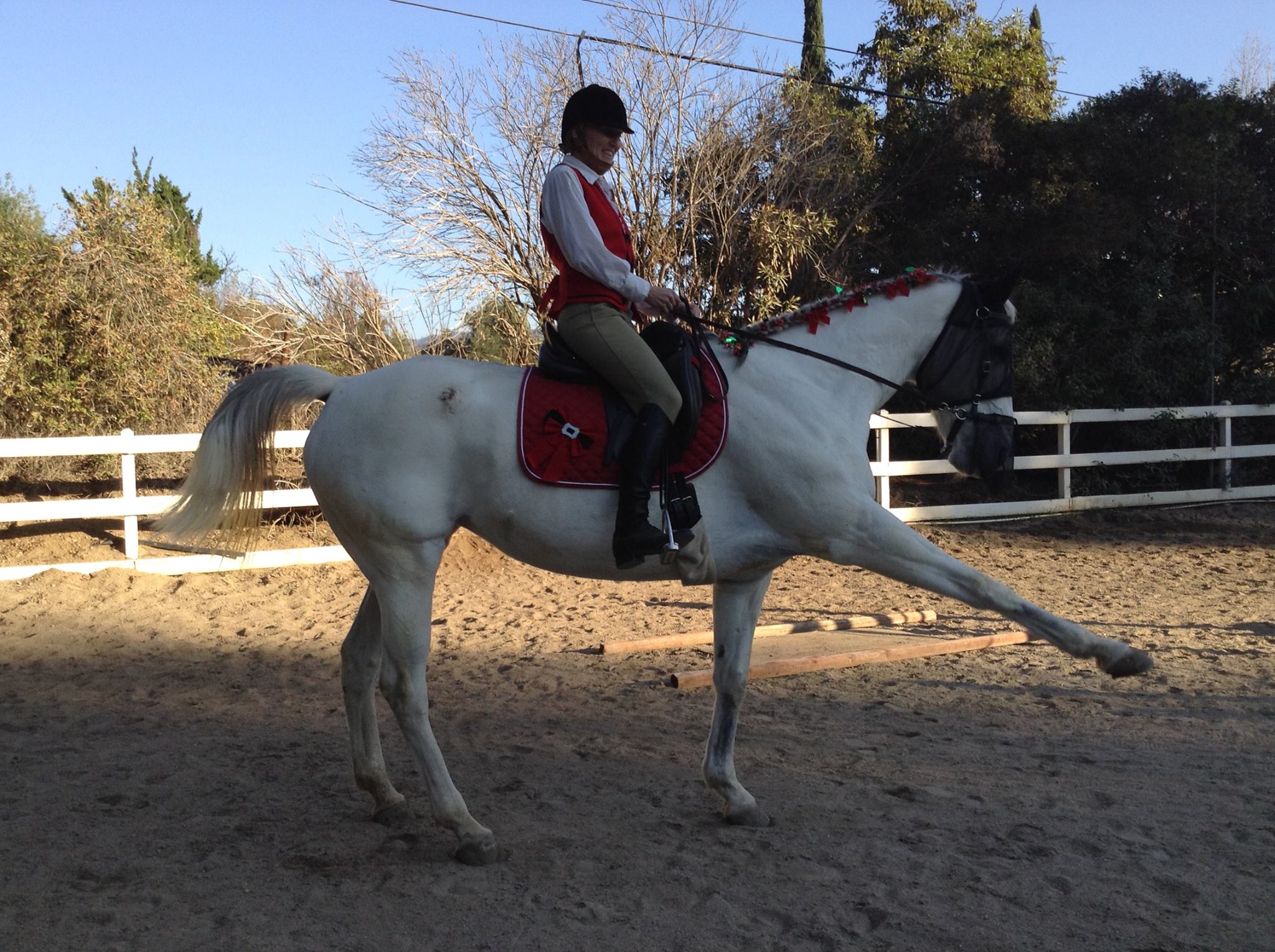 My Journey with Mercy by Nina Heller