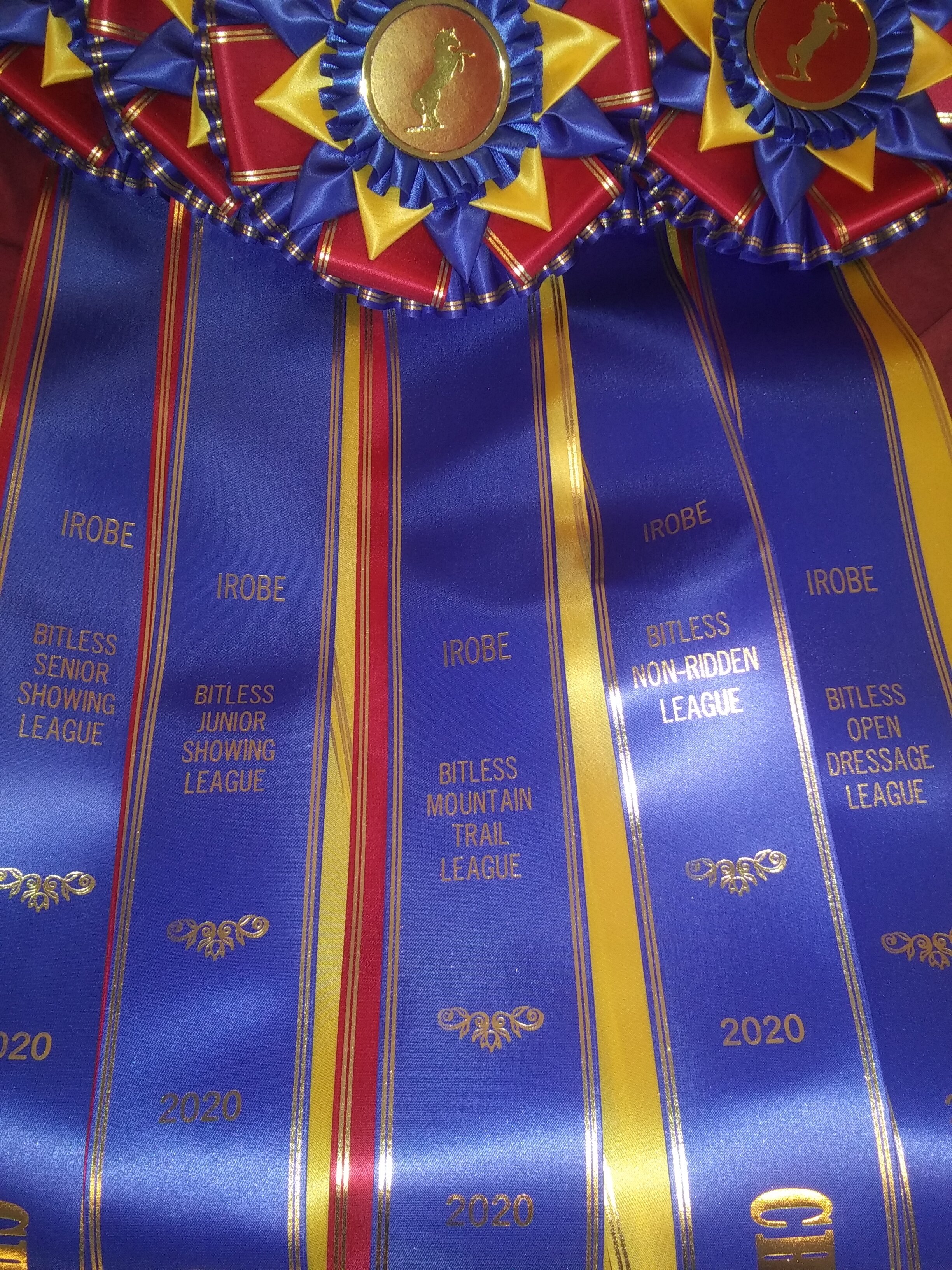 champion ribbons.jpg