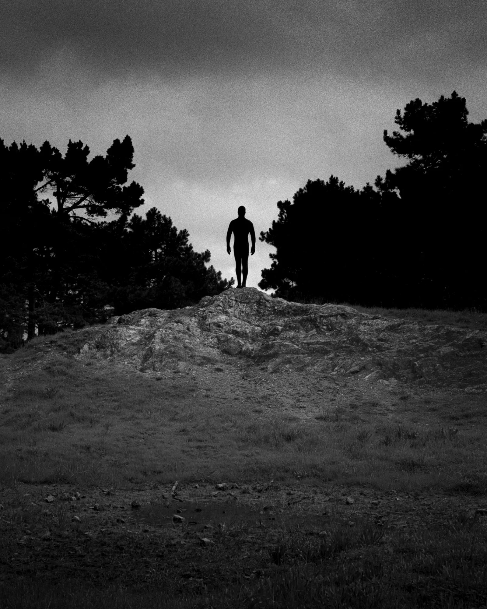 4_Shadow no. 24, 1995_2.jpg