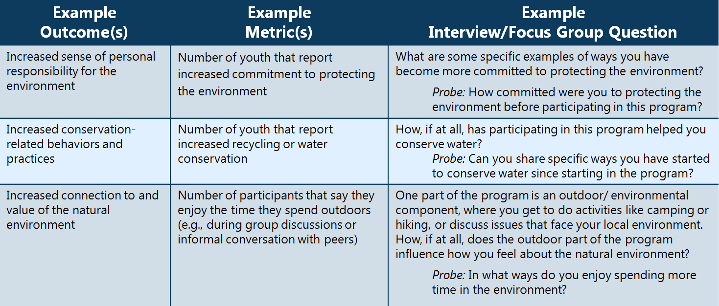 Interviews And Focus Groups — Learning For Action