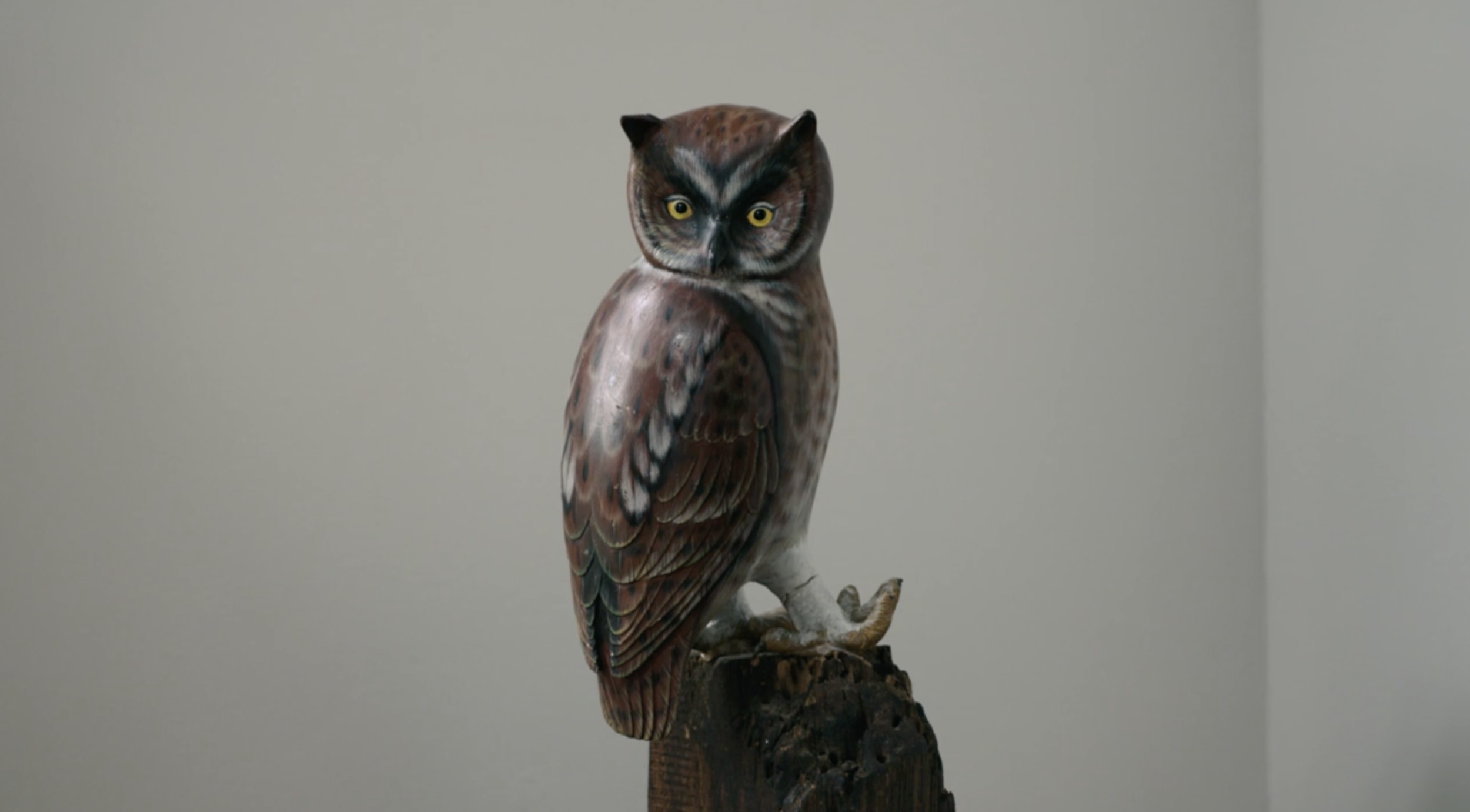 Screen Shot 2020-07-06 at 4.29.56 PM.png