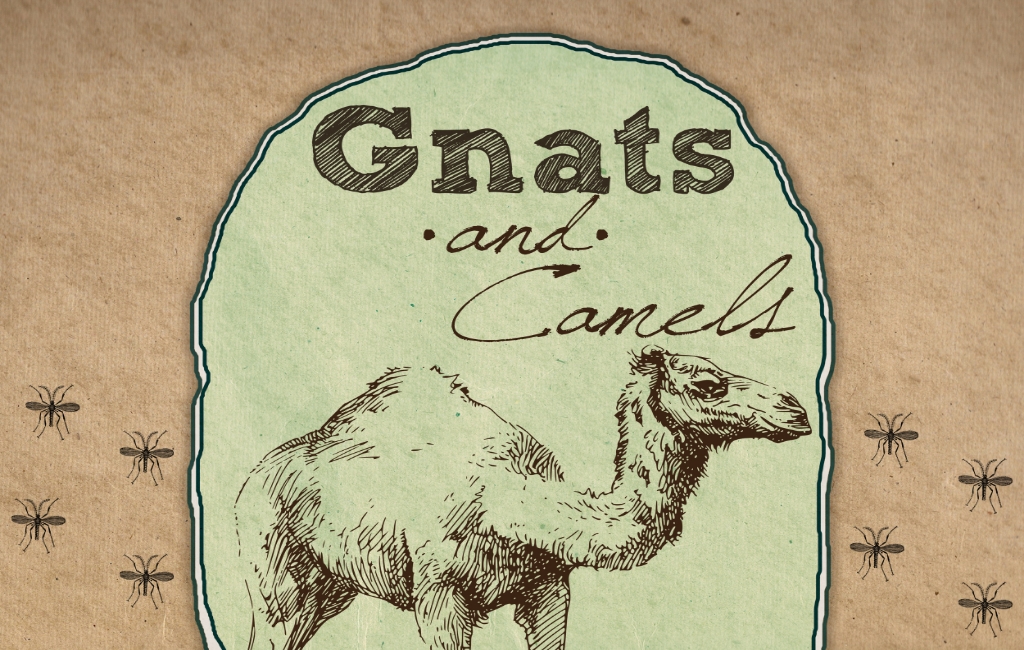 Gnats and Camels