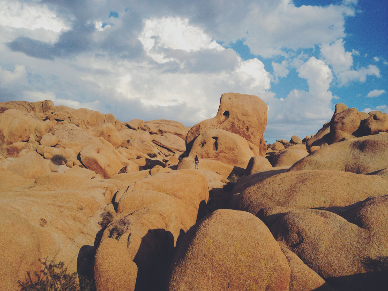 Joshua Tree