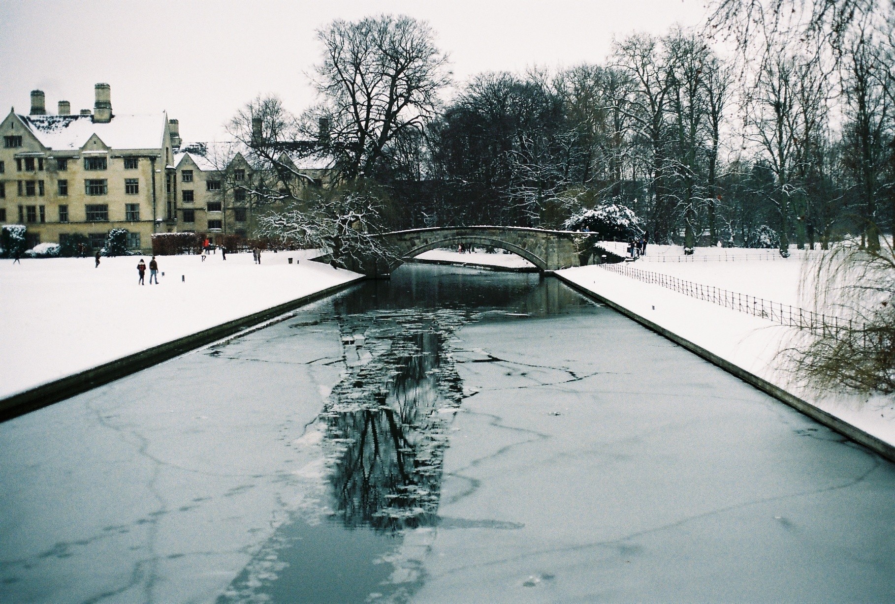 plate-glass reflections