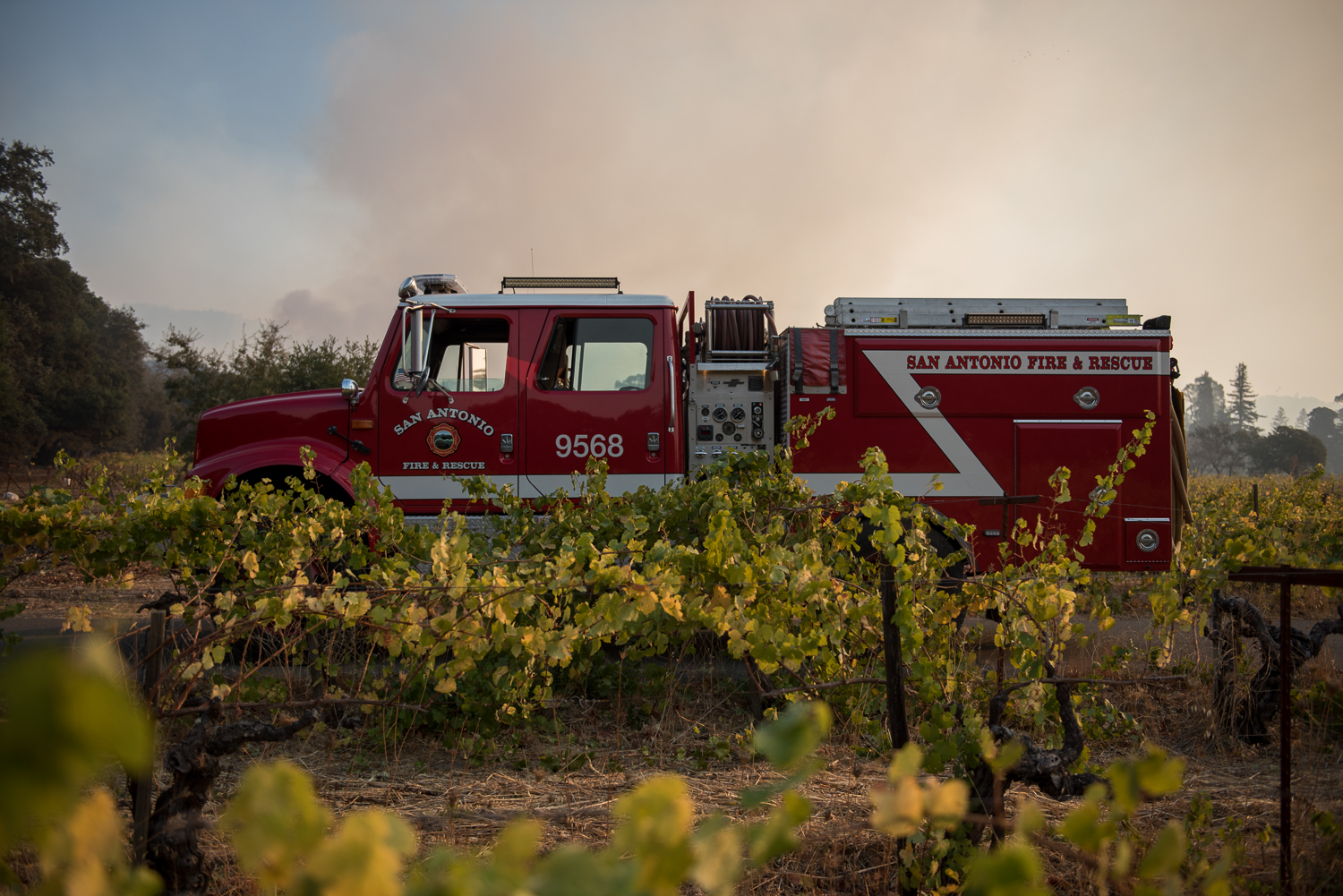 Sonoma_Furneaux050.jpg