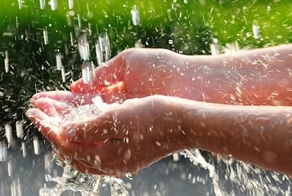 ImmerseNYC Mikveh Guide Training 2016