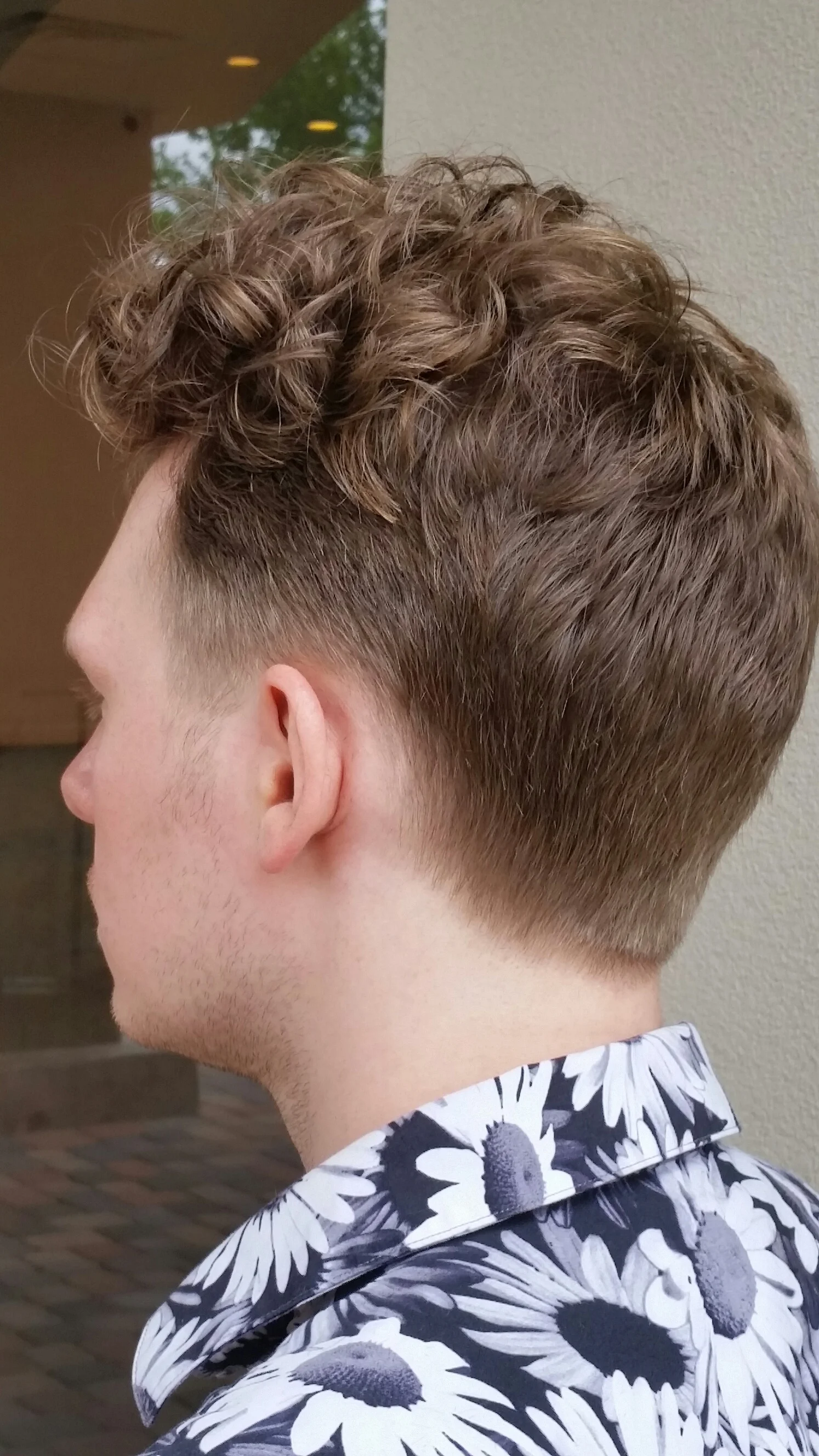 stephen back.jpg