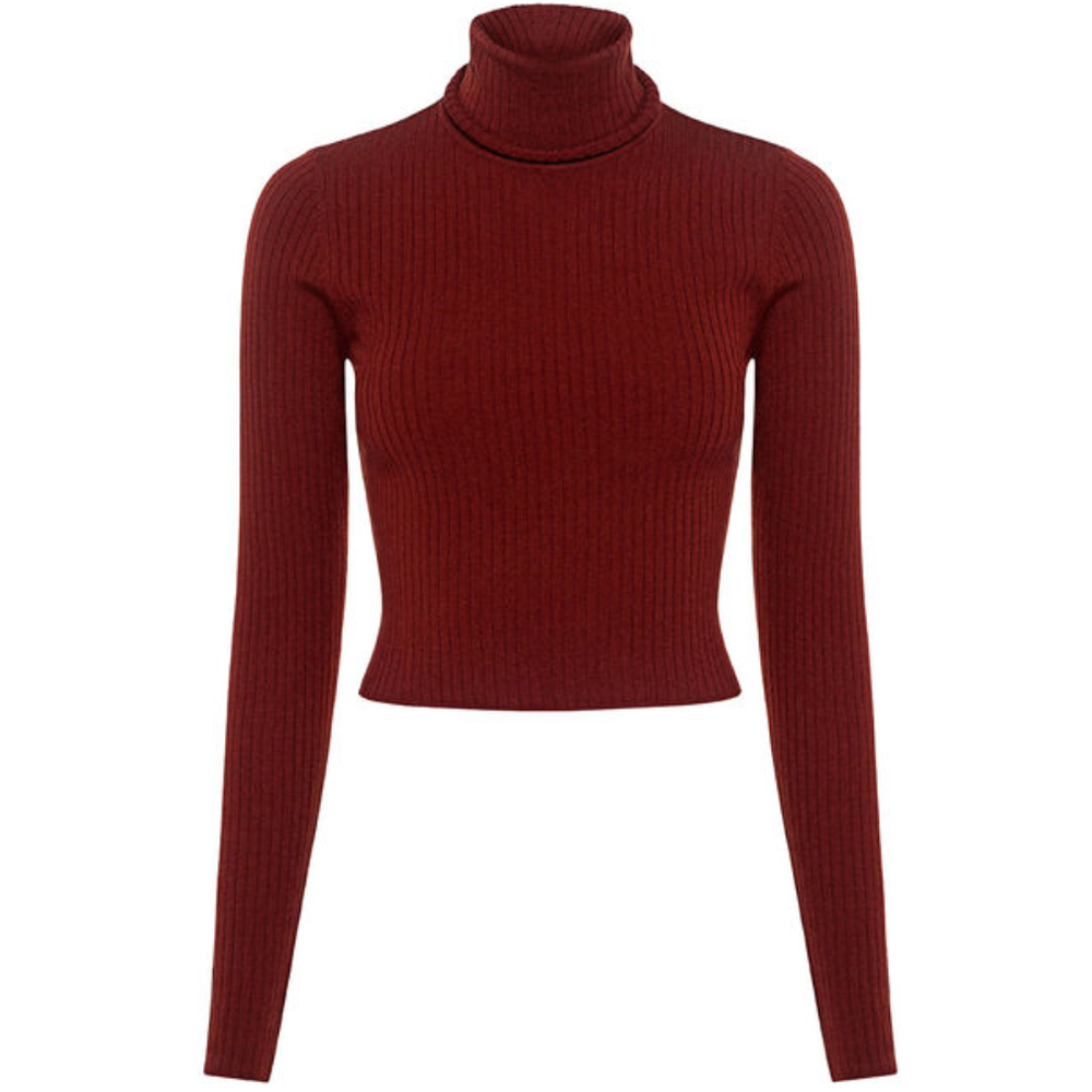 A.L.C. Ribbed Turtleneck in Copper, $295.00