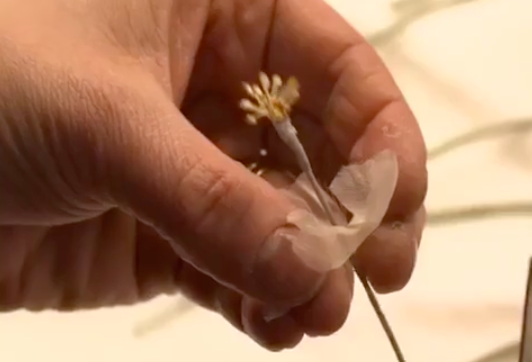 Dior Savoir-Faire Spring/Summer 2017
