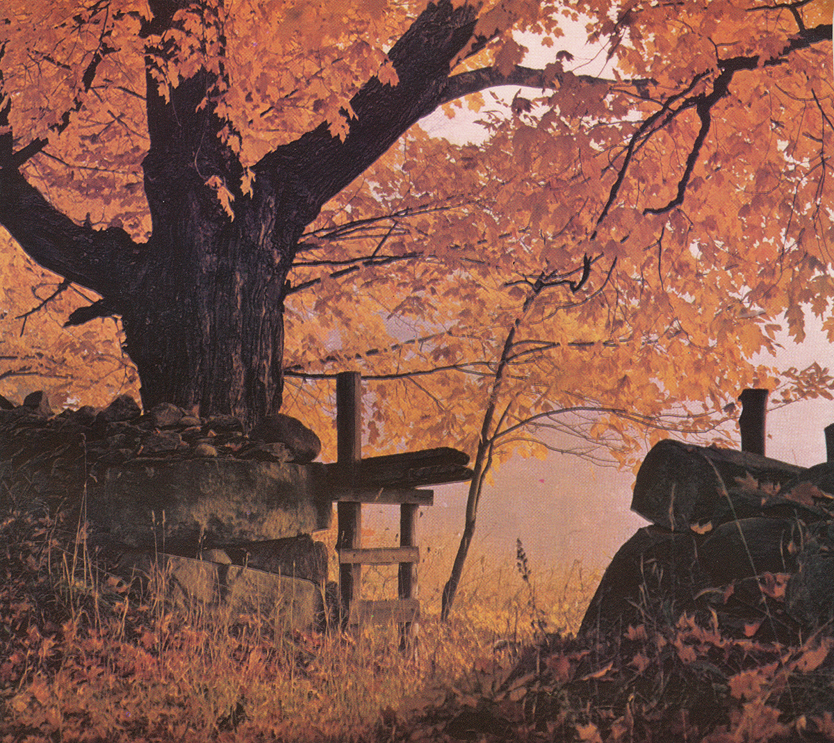 fall.jpg