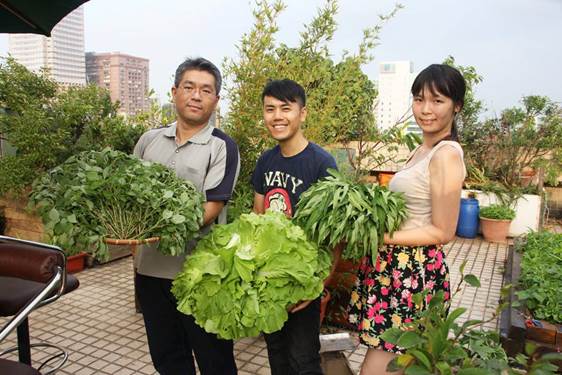 員工可以認養一塊地,種自己想吃的菜。