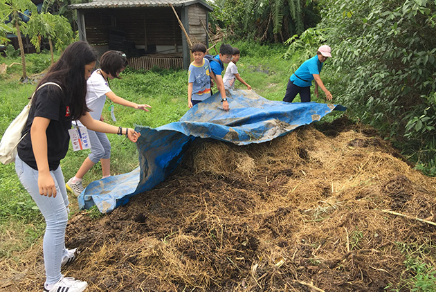 玩轉學校城鄉工學營參訪畜牧業,帶孩子了解在地議題。